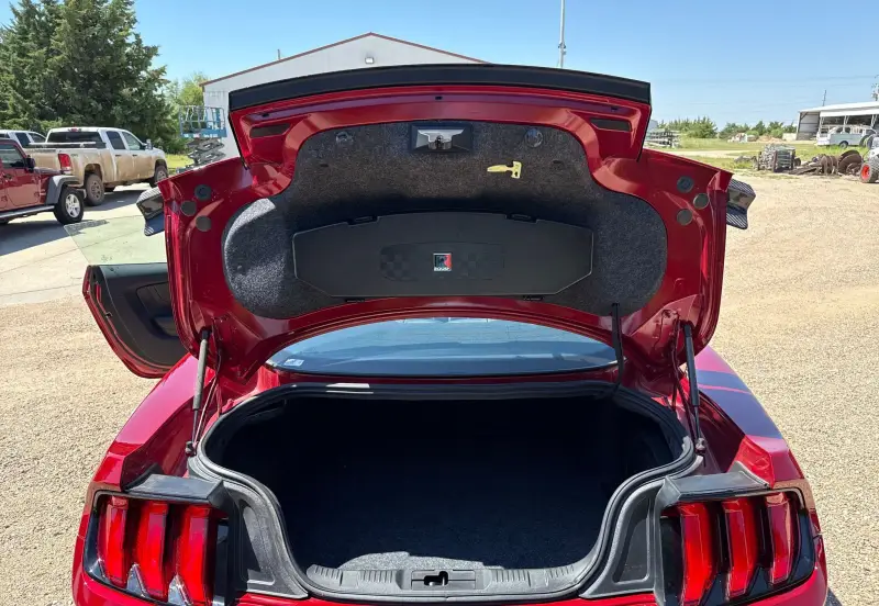 2020 Ford Mustang Jack Roush Edition photo 36